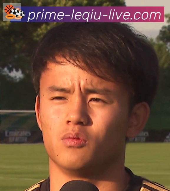 维尼修斯